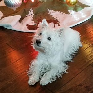 Meet your Posher, Wendy